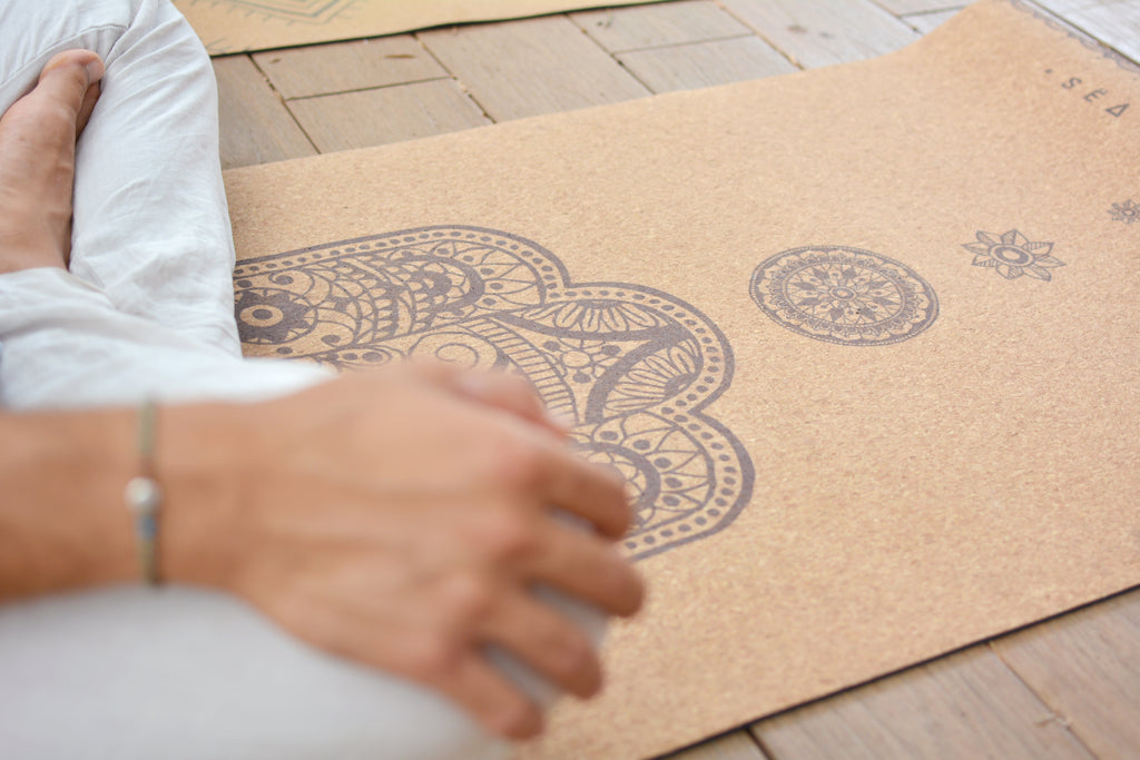 HAMSA